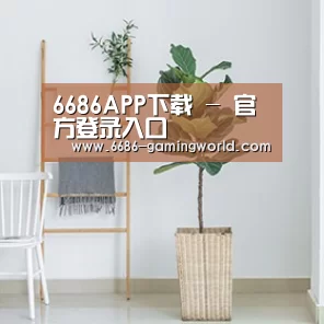 产品名称六
