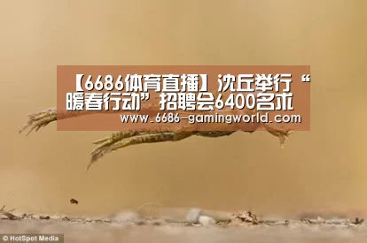 【6686体育直播】沈丘举行“暖春行动”招聘会6400名求职者找到工(图3) 6686官方网站