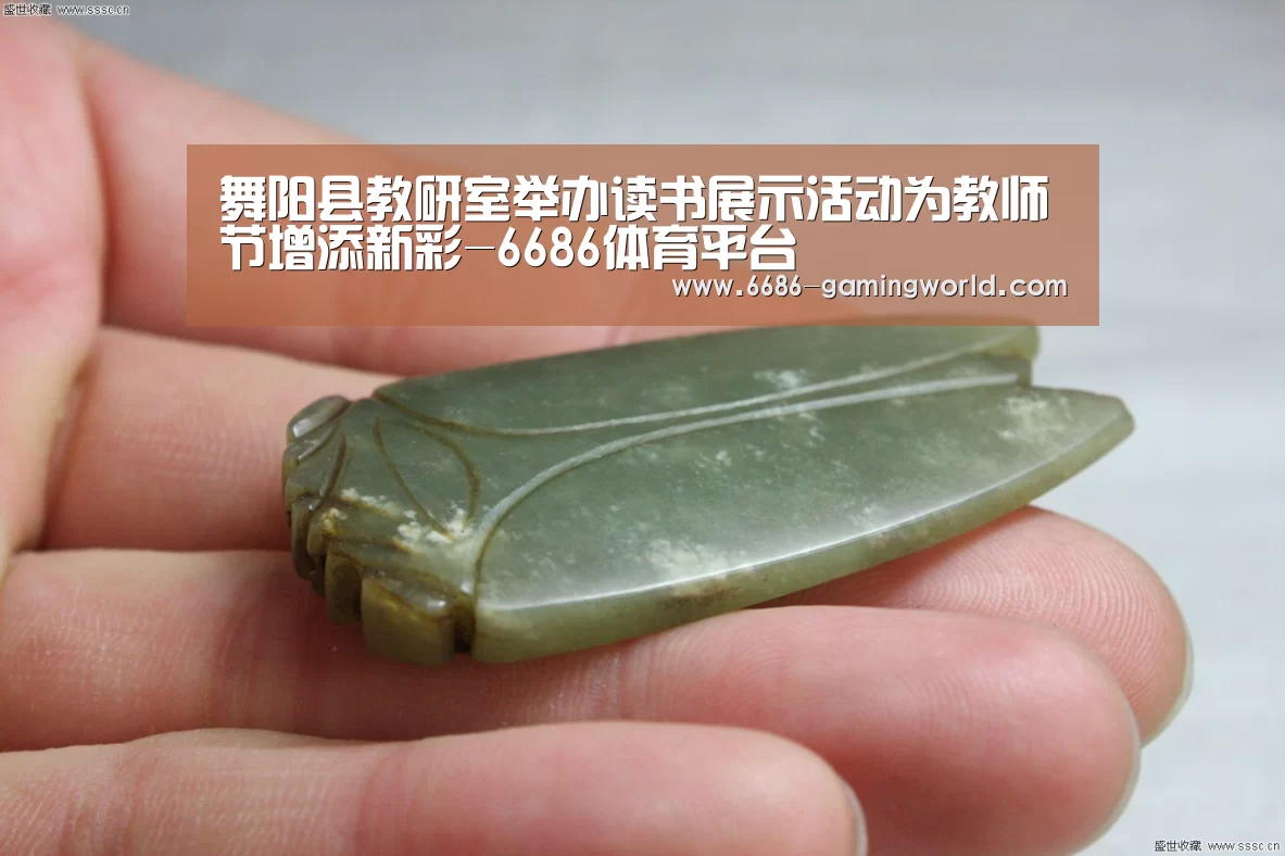 6686官方网站