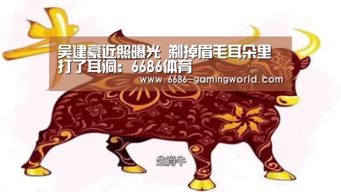 吴建豪近照曝光 剃掉眉毛耳朵里打了耳洞:6686体育(图2) 6686官方网站