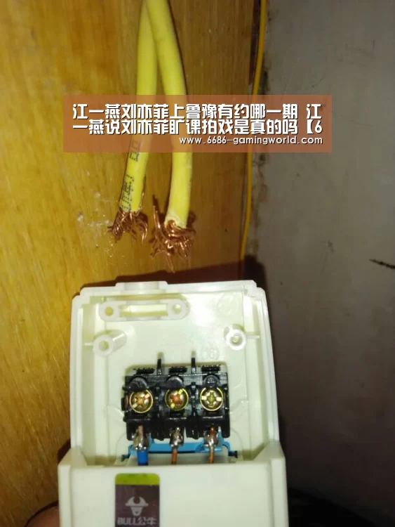 江一燕刘亦菲上鲁豫有约哪一期 江一燕说刘亦菲旷课拍戏是真的吗【6686体育直播】(图3) 6686体育直播
